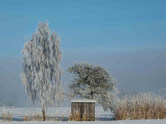 Winter 0209003